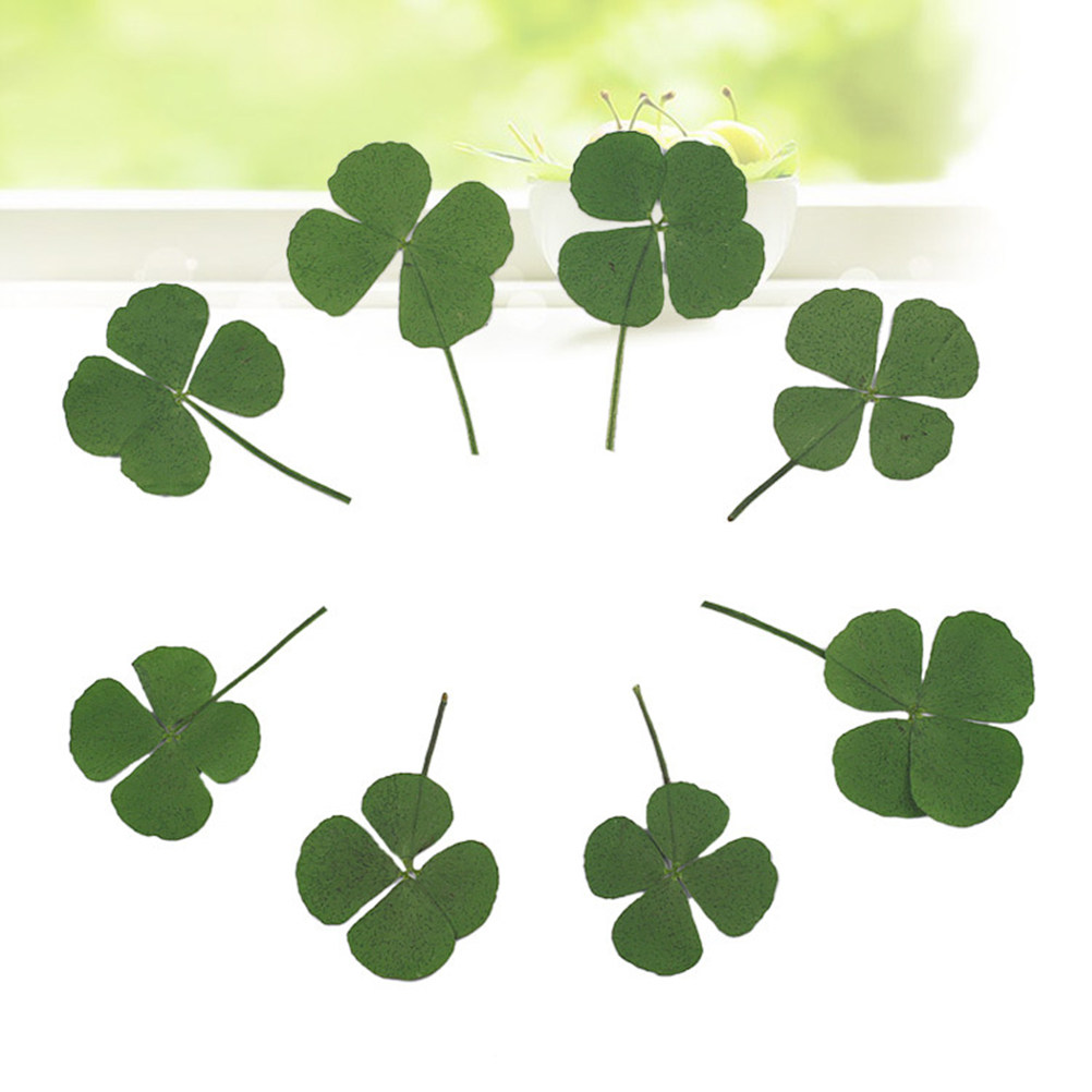 12 stuks vierbladige klaver ge - Resin Craft Material recensie en prijs