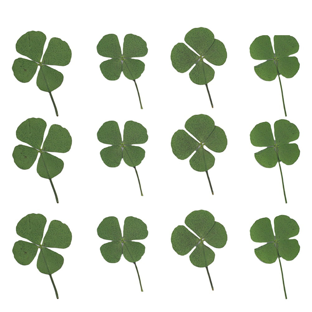 12 stuks vierbladige klaver ge - Resin Craft Material recensie en prijs