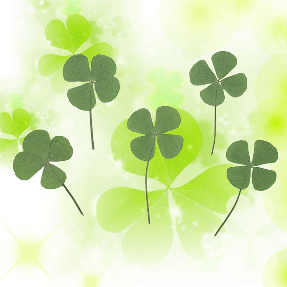 12 stuks vierbladige klaver ge - Resin Craft Material recensie en prijs