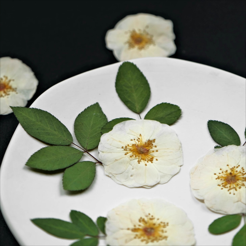 6 stks, 9 stks, Natuur Witte R - Dried Flower Bulk recensie en prijs